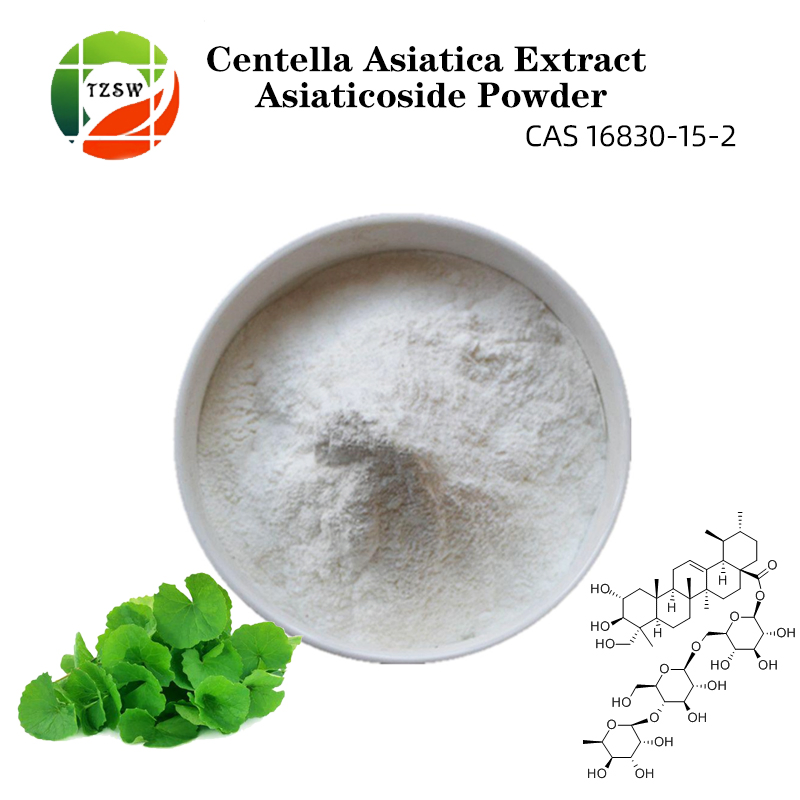 Centella Asiatica Extract Powder 10%-70% Asiaticoside