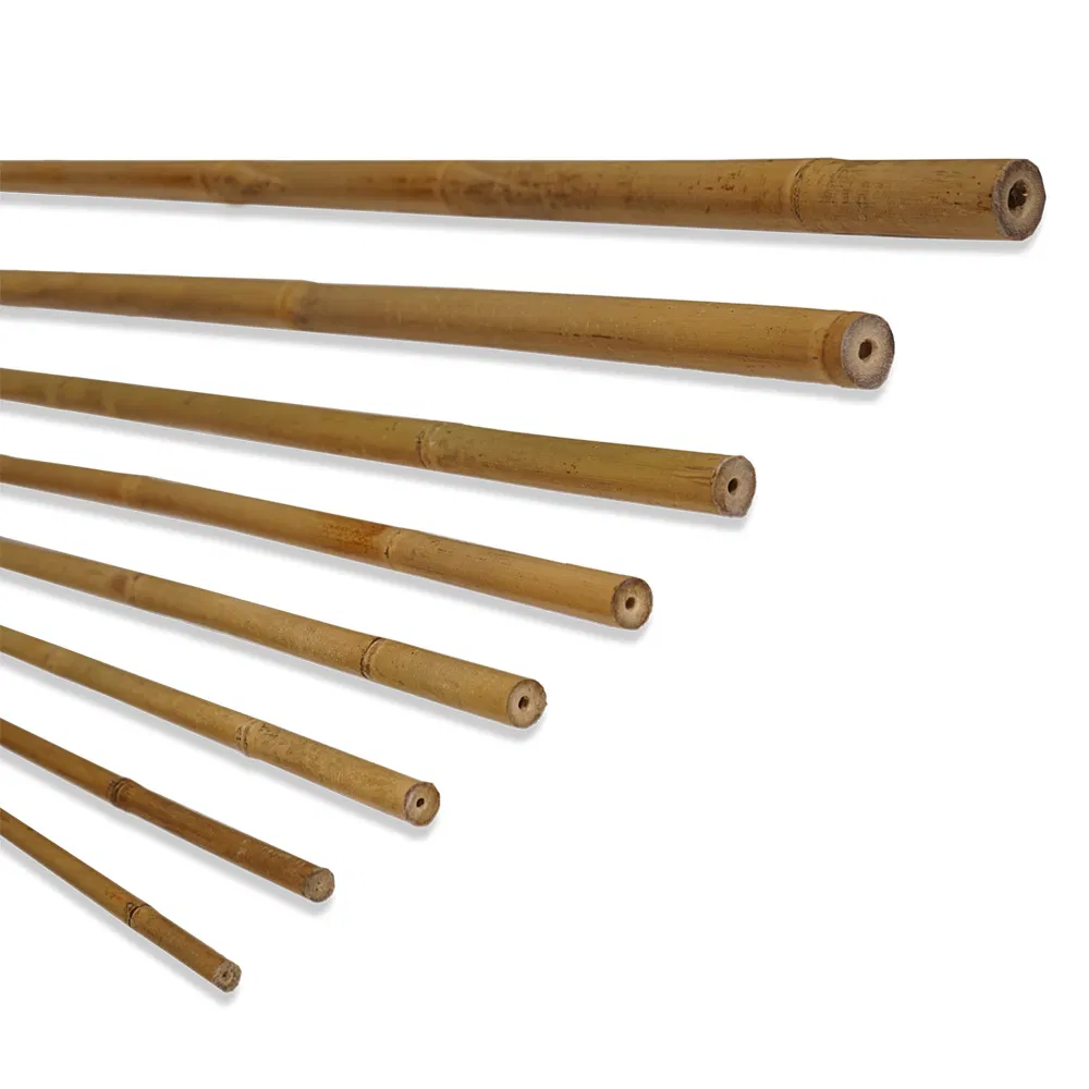 Natural Bamboo Sticks and Poles for Garden Support