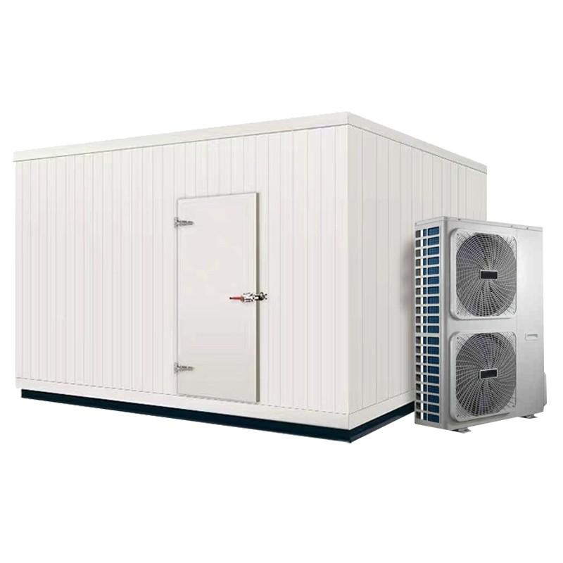 Low Temperature Cold Storage Cold Room Medical Freezer Room