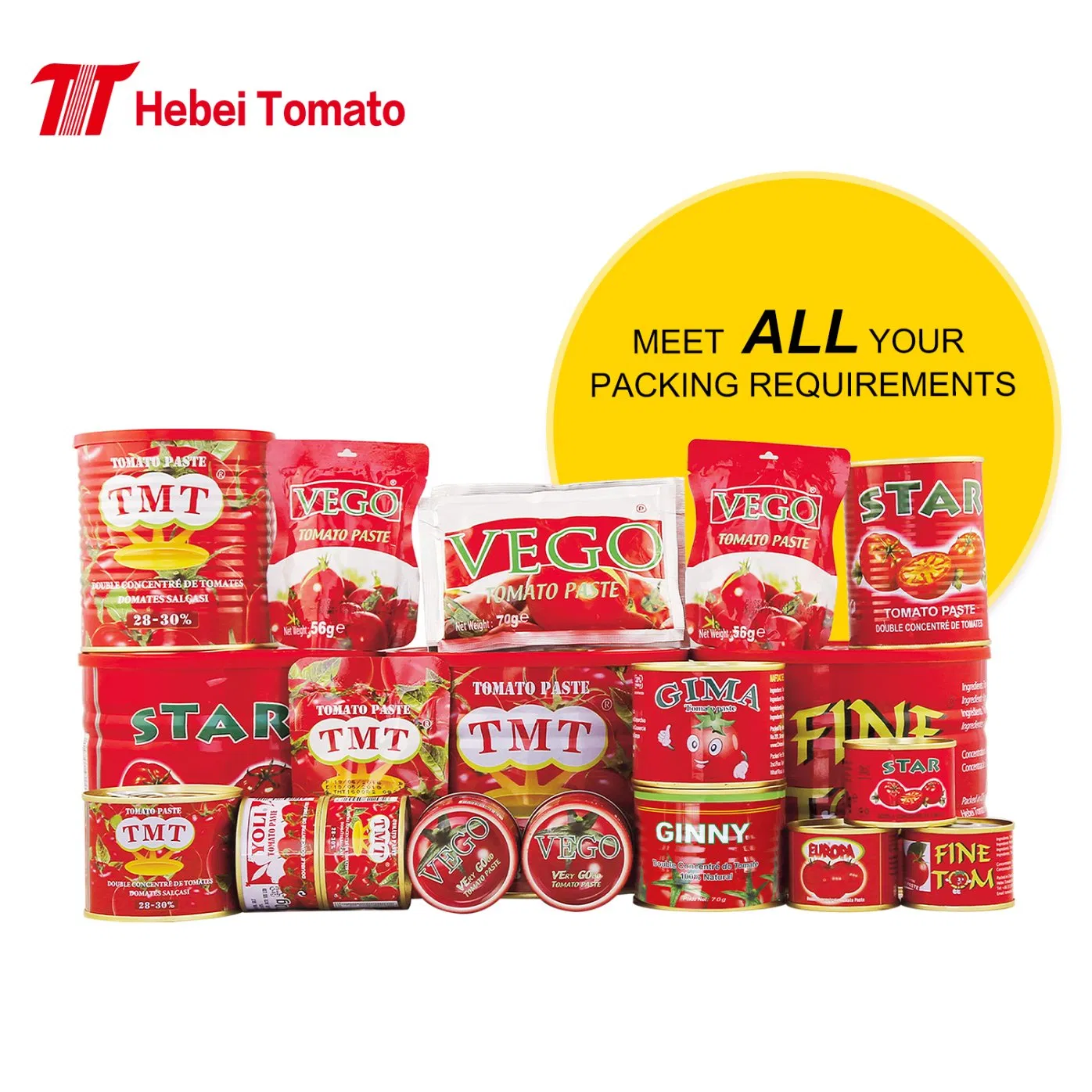 Tomato Paste 28-30 Brix in Tin Cans 70g to 2200g