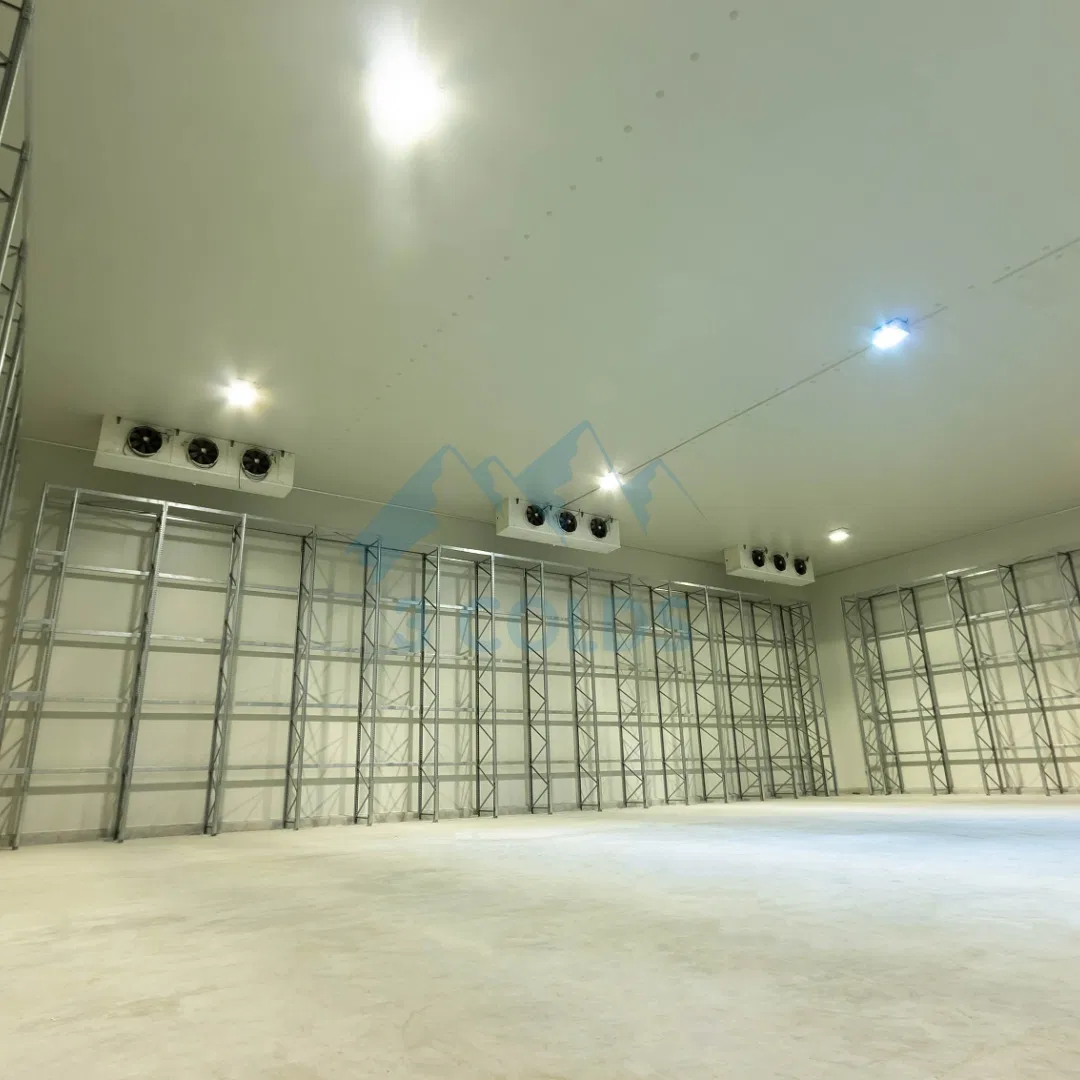 0℃ Cherry Cold Room for Imported Tropical Fruits for Short Time Keeping