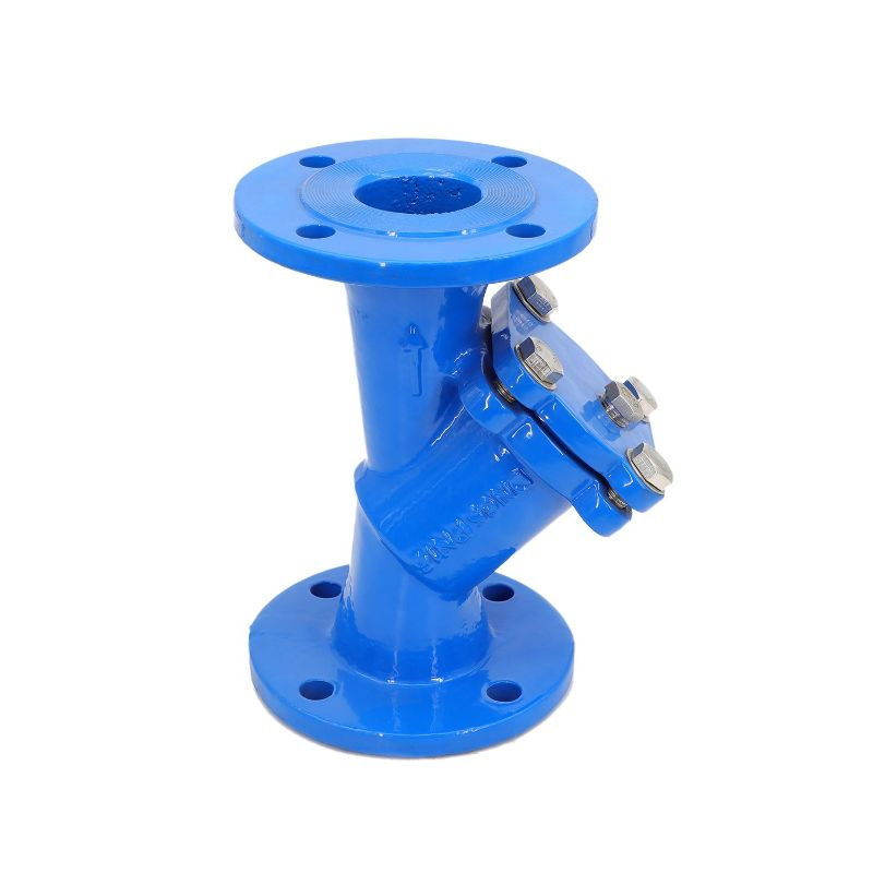 Efficient Flanged Ductile Iron Y-Strainer for Fluid Filtration