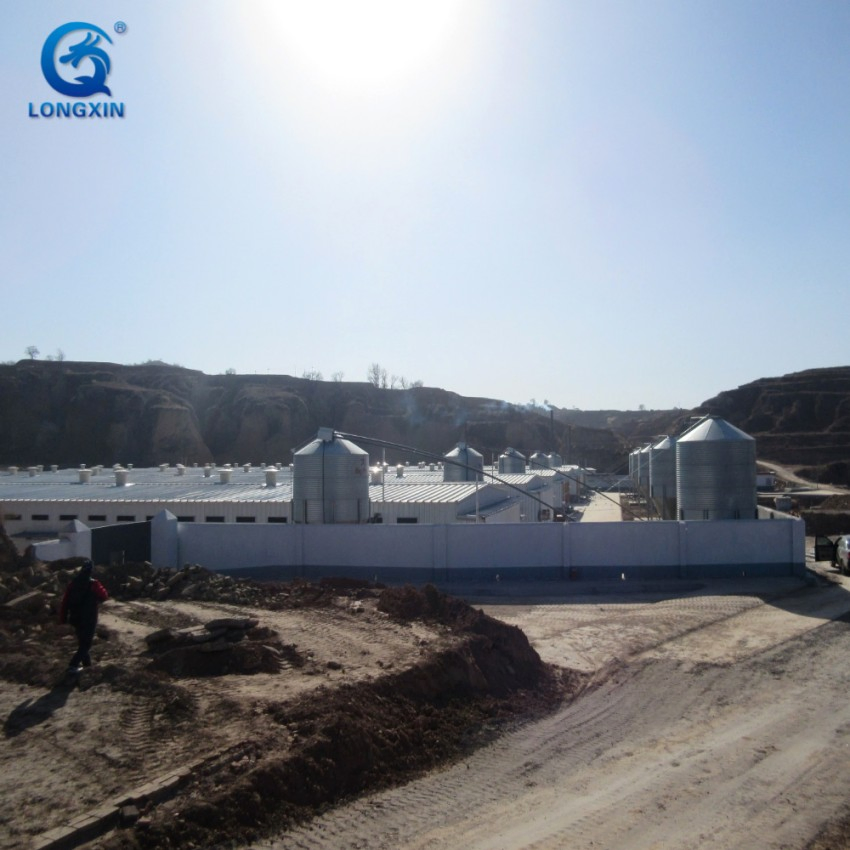 Climate Controlled Light Steel Chicken Farm for Tropical & Cold Climate
