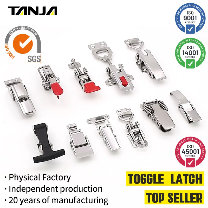 OEM/ODM SS304 Industrial Machinery Wooden Box Toggle Latch Locking Clasp Lock Draw Latch Hasp