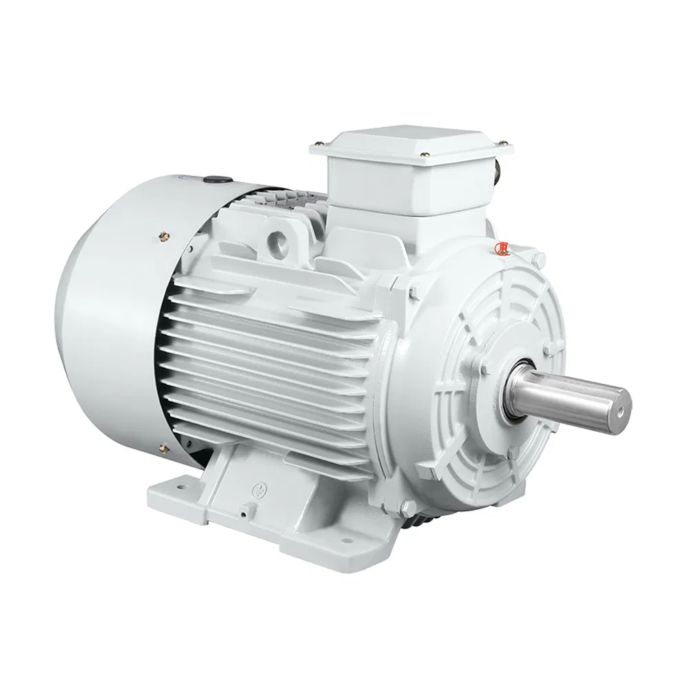 YE5/IE5 Series 50Hz 380V Three-Phase Ultra-High Efficiency Electric Asynchronous Motor for Industry