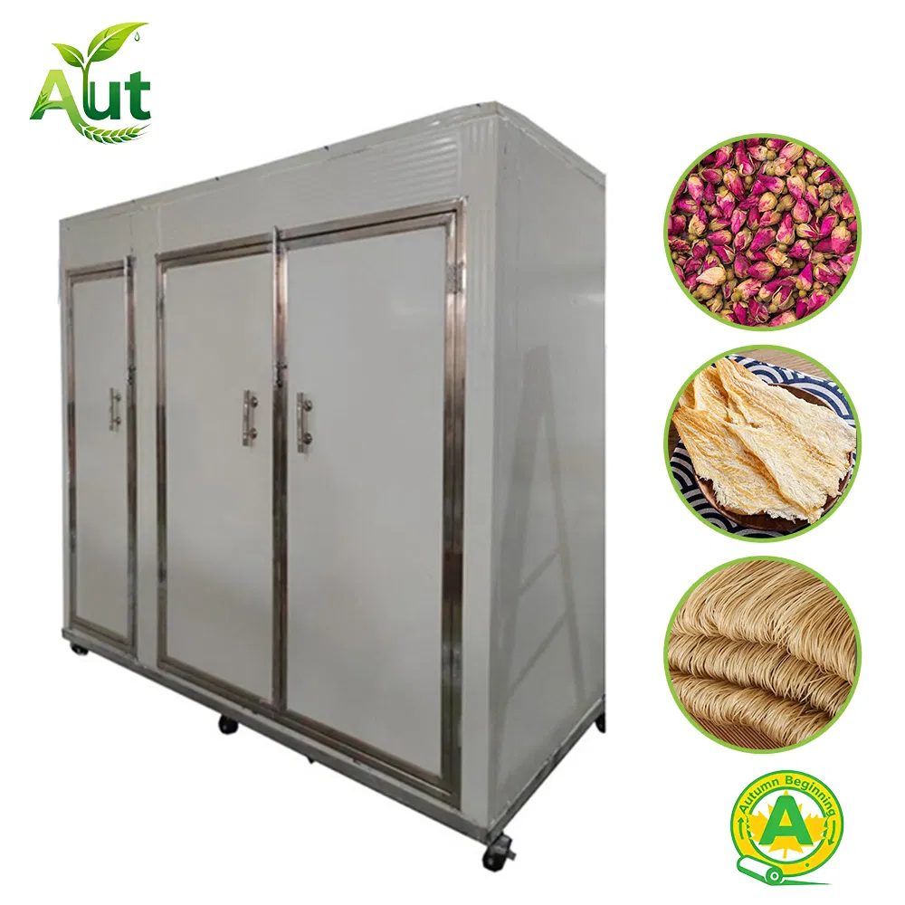 Multifunctional Food Drying Room Box Type Fruit Drying Machine
