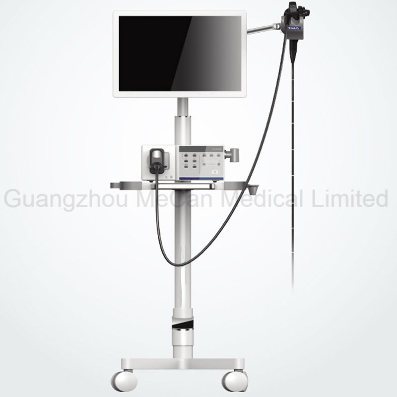 Veterinary Video Endoscopy Gastroscope Equipment for Small Animal