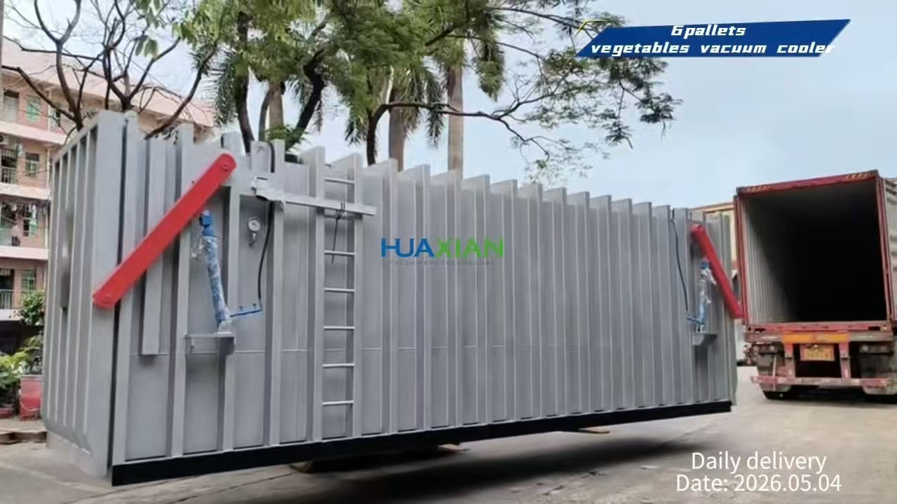 2 Pallets Salad Vegetable Kale Fast Cooling Farming Machine, Fruit Vacuum Cooler Machine