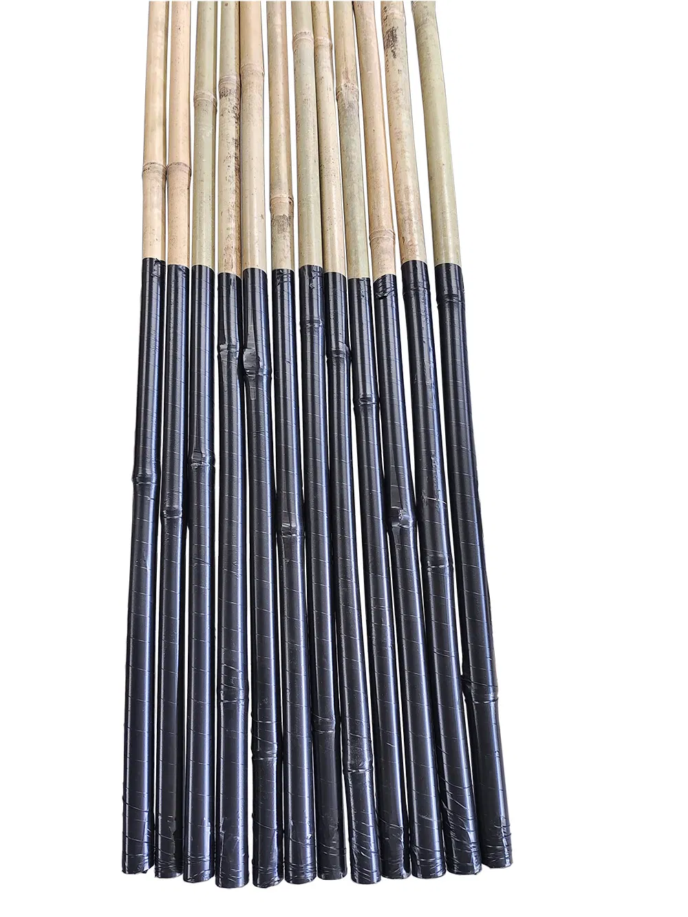 Estaca de bambú natural con cinta impermeable de 50 cm para soporte de plantas