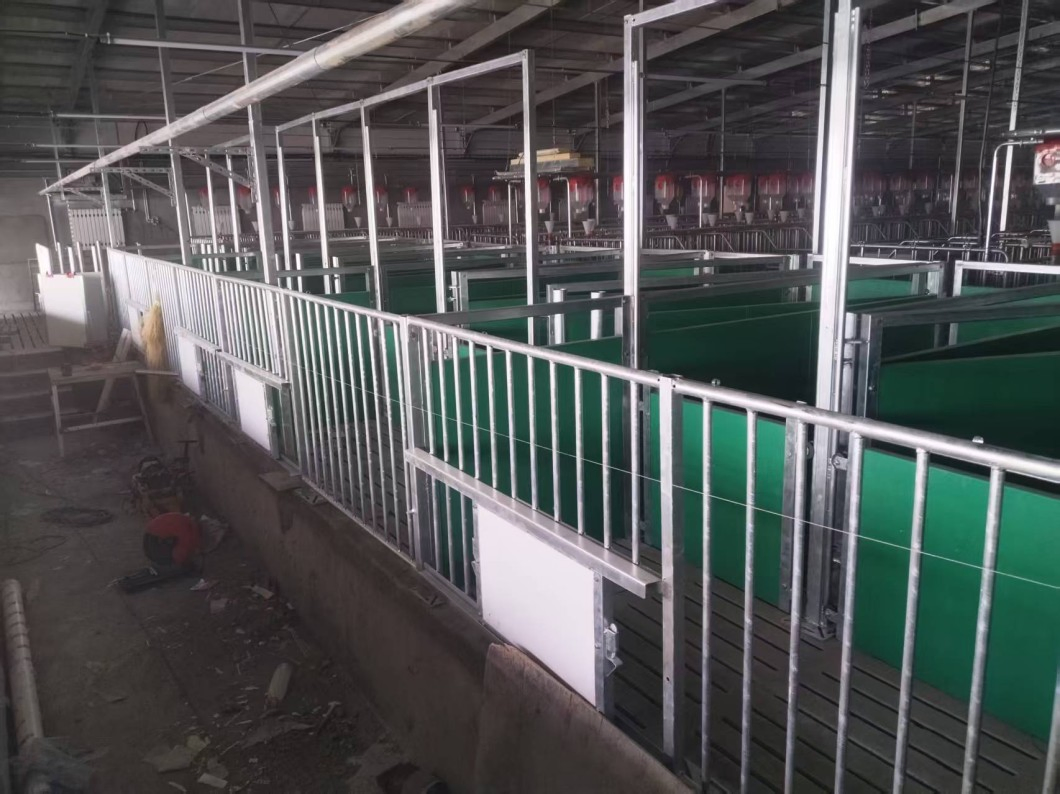 Hot Selling Customized Galvanized Pig Gestation Crates for Maternity Pig Farm