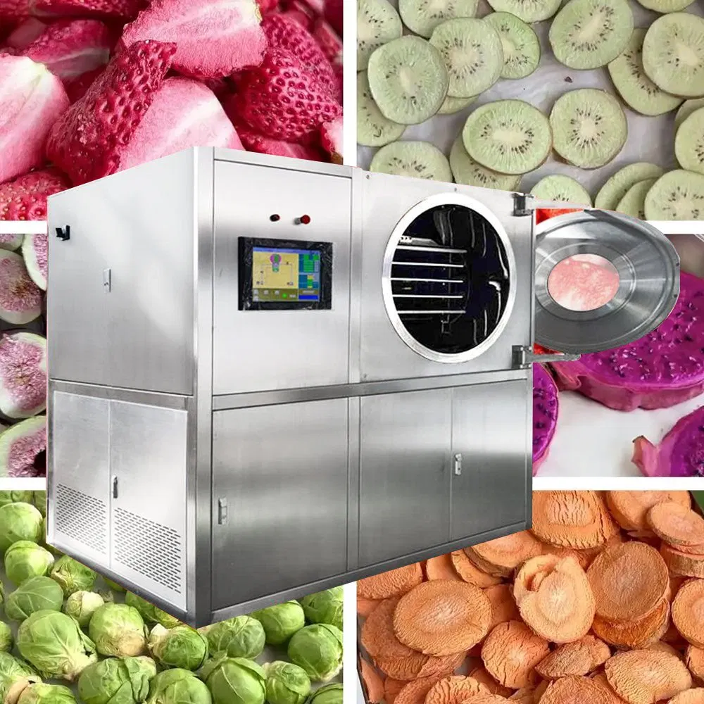 LG-1.0 10kg/Batch Industrial Vacuum Freezer Dryer Machine
