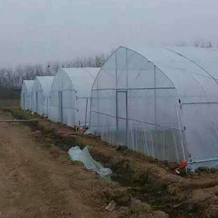Professional Plastic Film Greenhouse Po Film