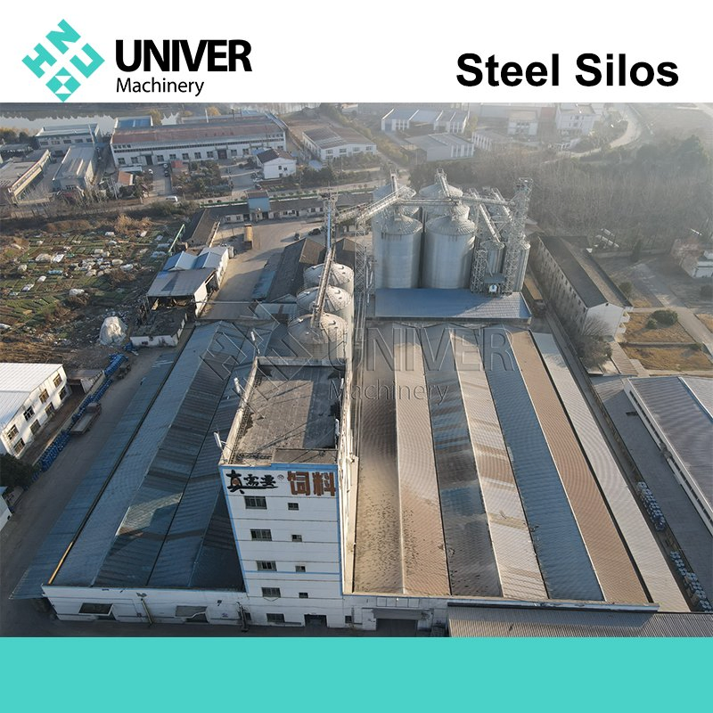 Silo in acciaio zincato per lo stoccaggio di grano con trasportatore - Capacità da 2000 a 10000 t