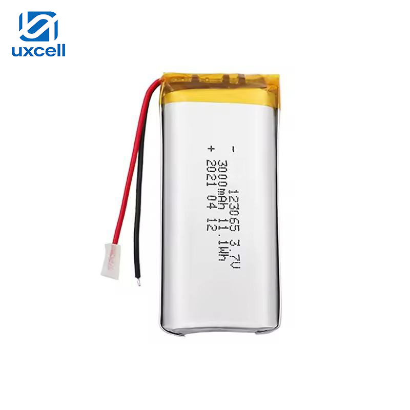 Rechargeable Lithium Polymer Battery 3.7V 3000mAh Lipo Pouch Battery for Medical Equipment