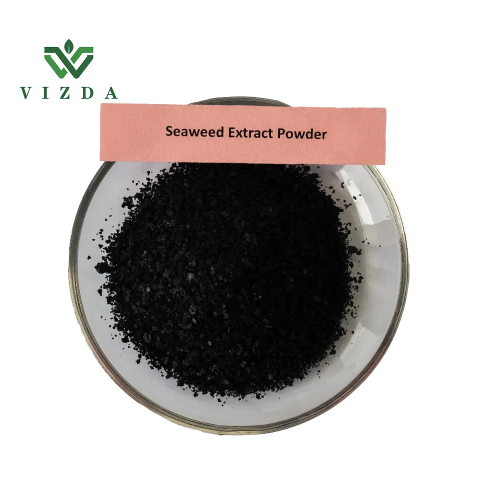 Kelp Seaweed Extract Powder for Fertilizer CAS 84775-78-0