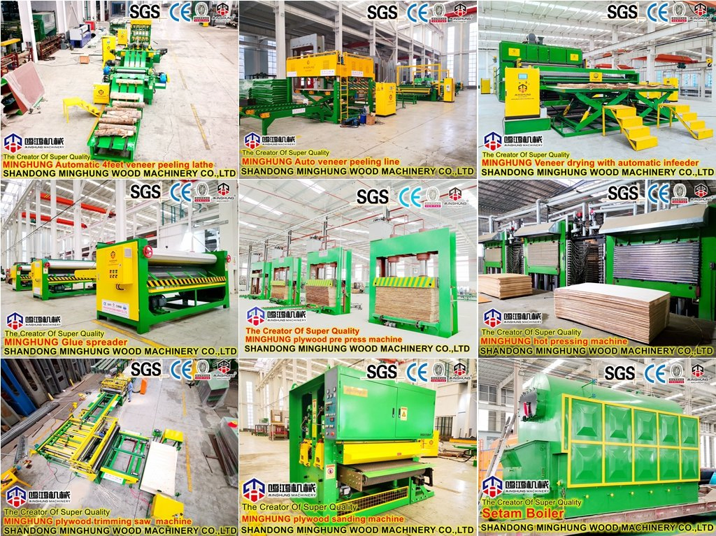 Woodworking Veneer Plywood Production Manufacturing Equipment Machine