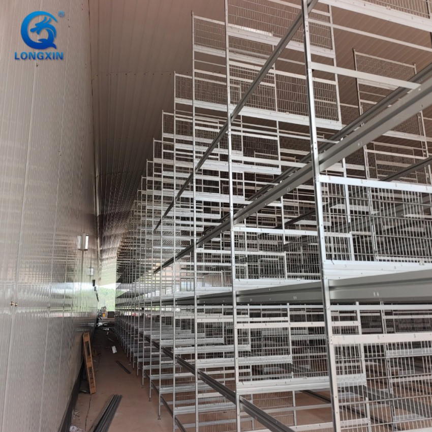 Galvanized Anti-Rust Light Steel Chicken Farm House with Automatic Feeding Line