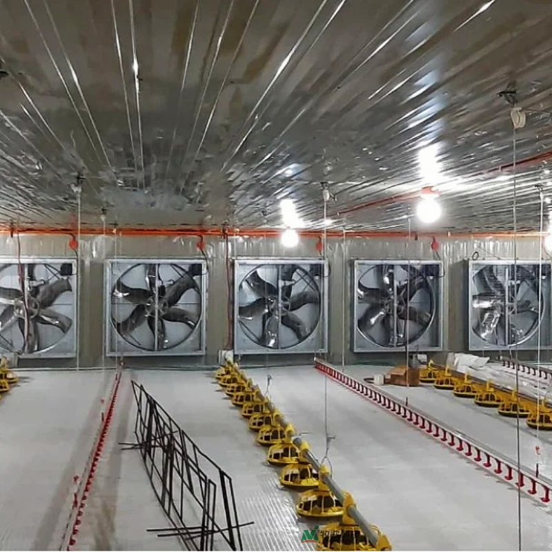 Poultry Farm Exhaust Fan, Greenhouse Cooling Fan, Close Air Blower