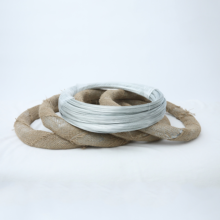 Customized High-Tensile Galvanized Wire for Building Solutions