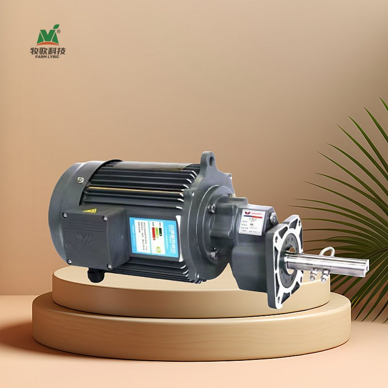 Poultry System High Efficiency Helical Gear Reduction Motor