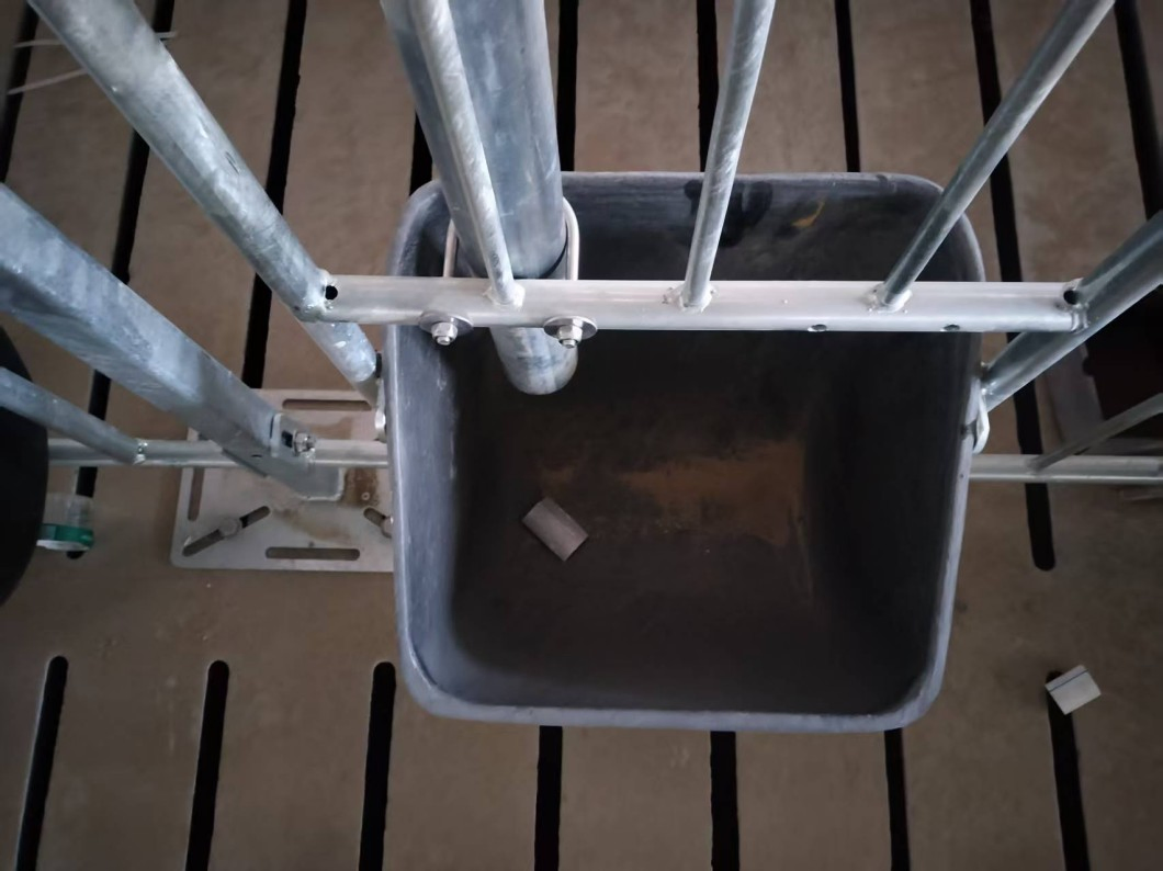 Customizable Stainless Steel Pig Feed Trough for Fattening Pig Rearing