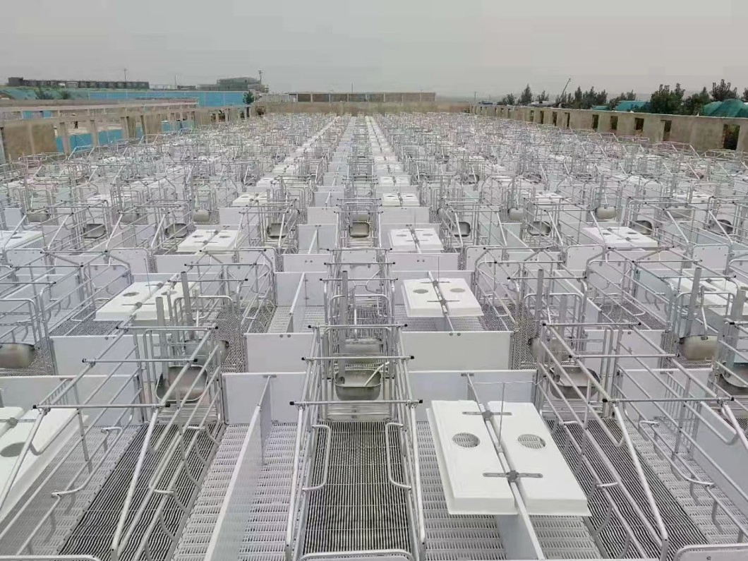 High Strength Galvanized Pig Farrowing Bed Gestation Pen for Farms