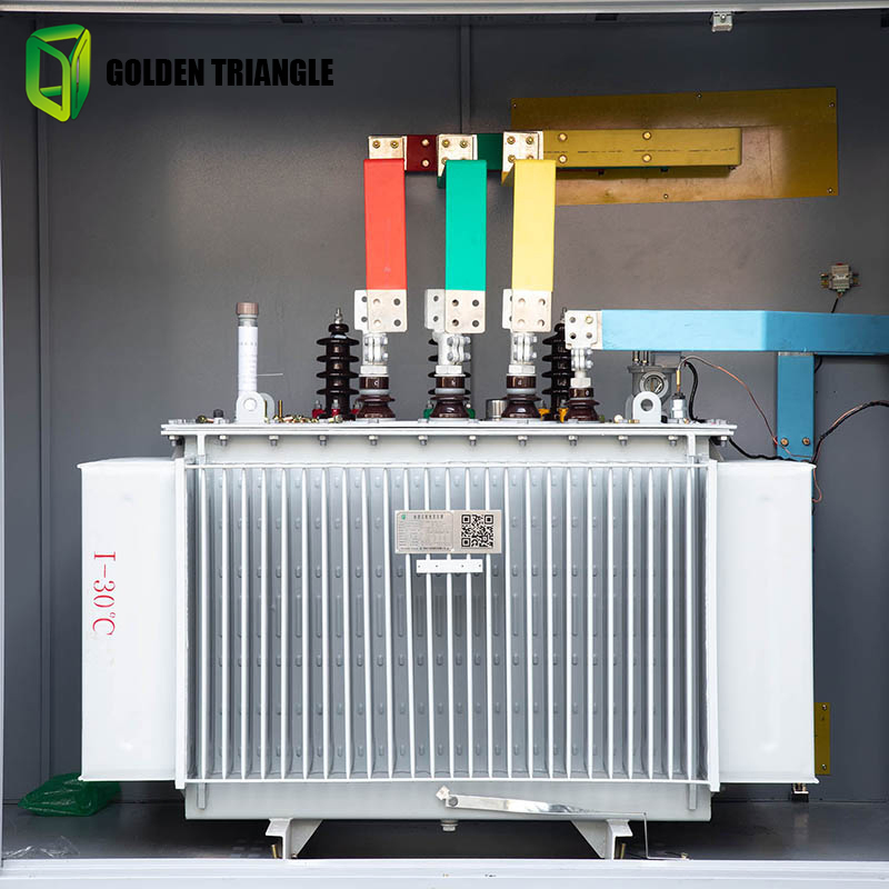 Oil Immersed Transformer 100-1600 kVA for Russian Market with Accessories