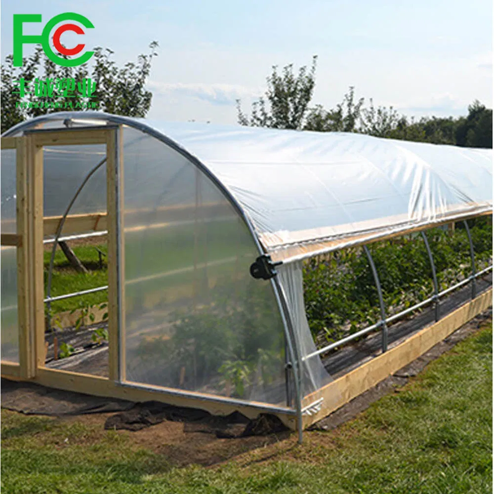 Indoor Agricultural Greenhouse Plastic Sheet Film Tunnel Greenhouse
