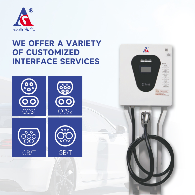 30kW Electric DC EV Car Charging Station for Single Gun Vehicle Battery Compatible with BYD and Other Models