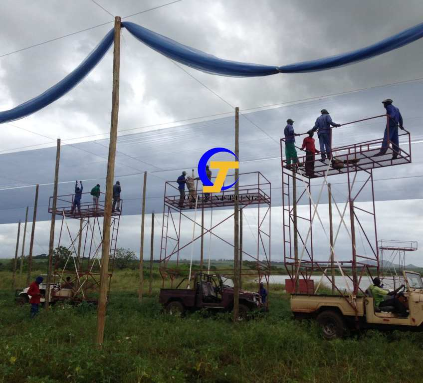 UV Proof Fruit Anti-Hail Net White Anti-Hail Net Hail Netting for Vineyards 12 X 100m