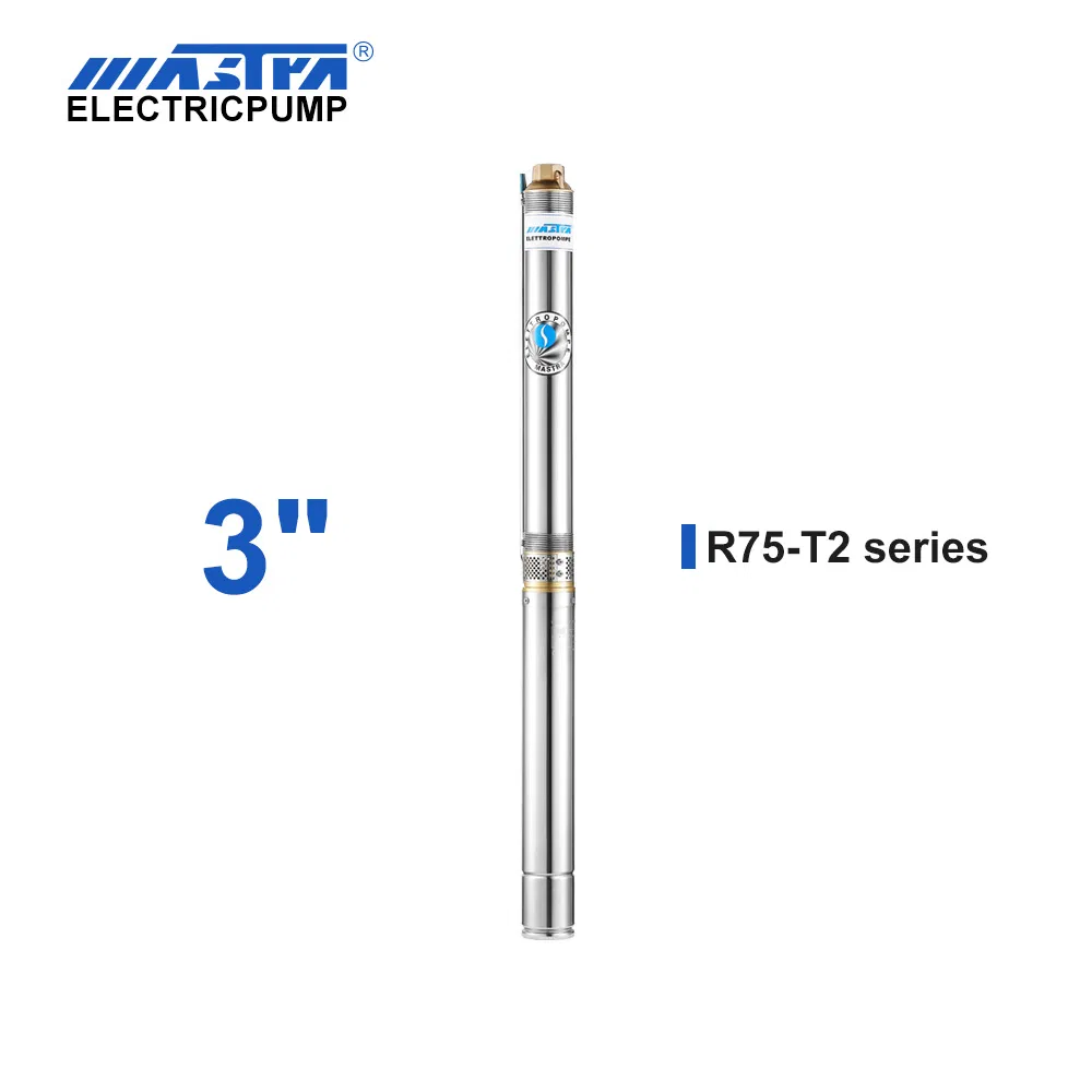 Stainless Steel Cast Iron Submersible Water Pump 3"