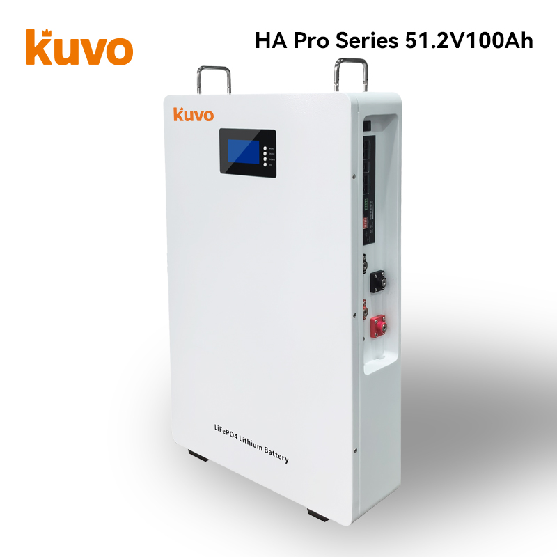 Batterie LiFePO4 murale de 5,12 kWh avec BMS intelligent et écran LCD