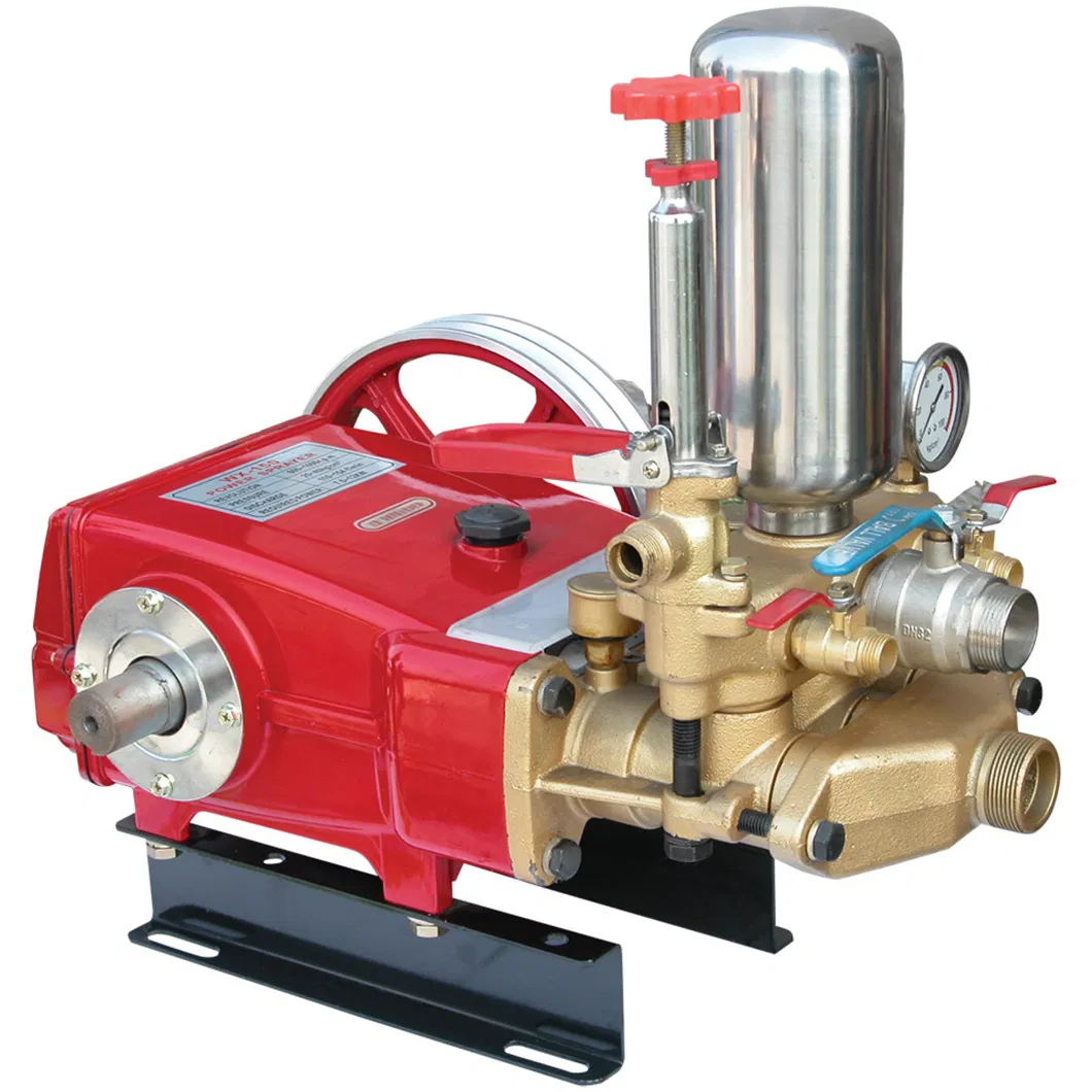 45mm WX-150 Plunger Pump for Agricultural Use