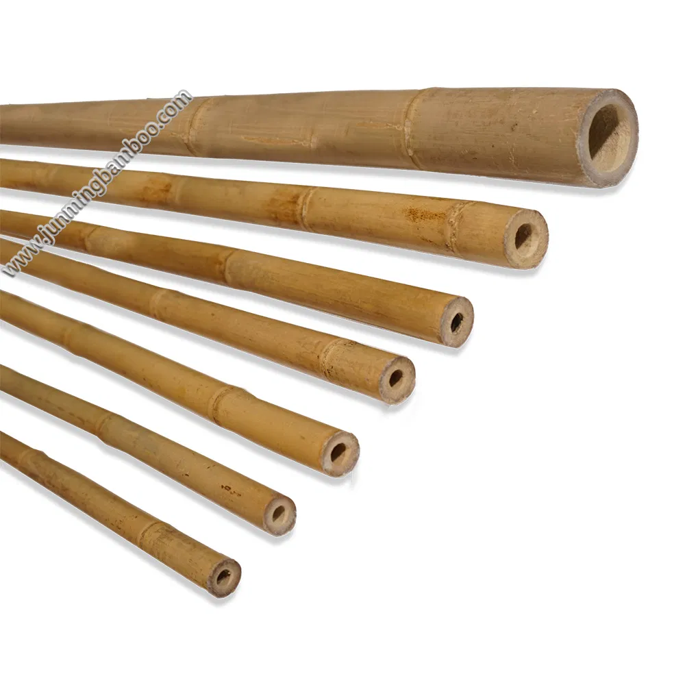 Natural Bamboo Poles and Cane Stakes for Horticulture Plantation Support