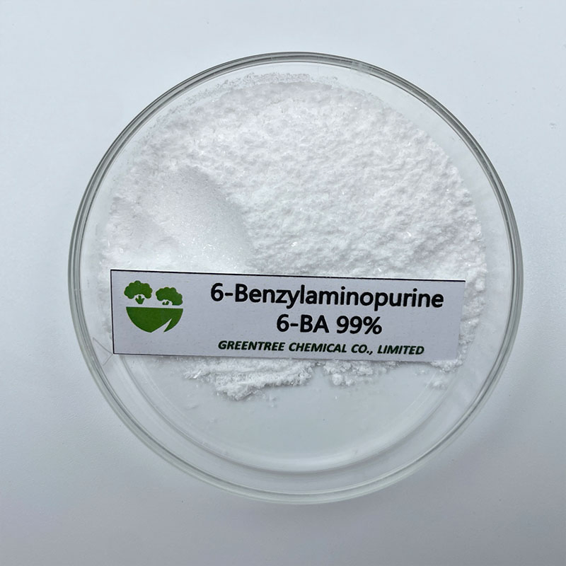 6-Benzylaminopurine 6-BAP 99% Plant Growth Regulator CAS 1214-39-7