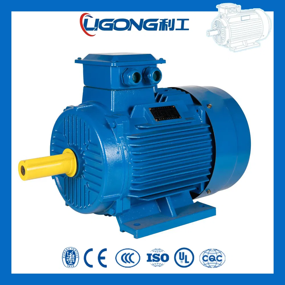 IE3 Premium Efficiency Three-Phase Induction AC Electric Asynchronous Motor 380V 50Hz