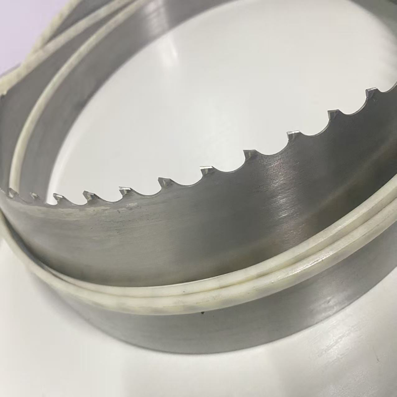 Lama a nastro in acciaio rapido HSS con placchette in carburo per legno duro