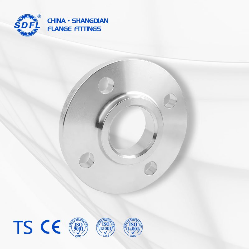 JIS B2220 DN250 10 Inch Carbon Steel Stainless Steel Slip on Flange