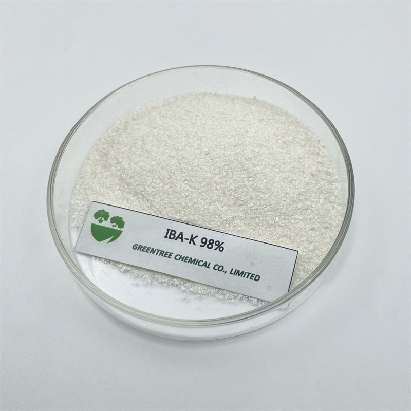 Indole Butyric Acid Potassium IBA-K Rooting Hormone 98%