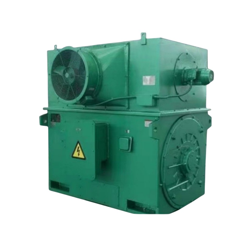 6kV/10kV High Voltage Induction Asynchronous AC Electric Motor