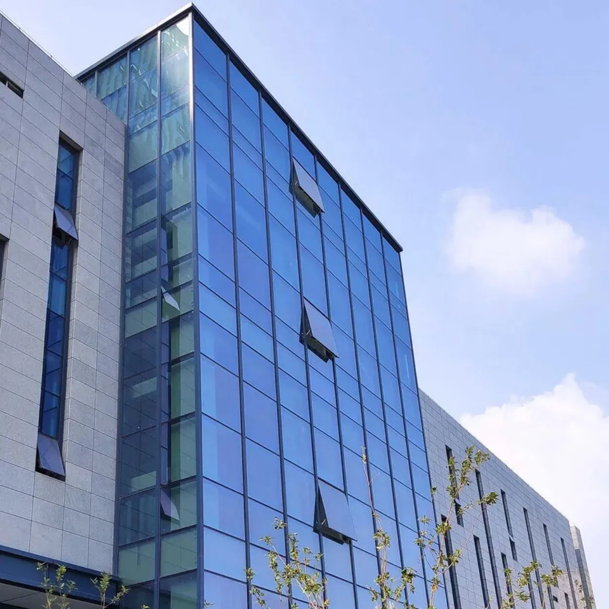 Mur-rideau en profilés d'acier et d'aluminium de haute qualité résistant au vent