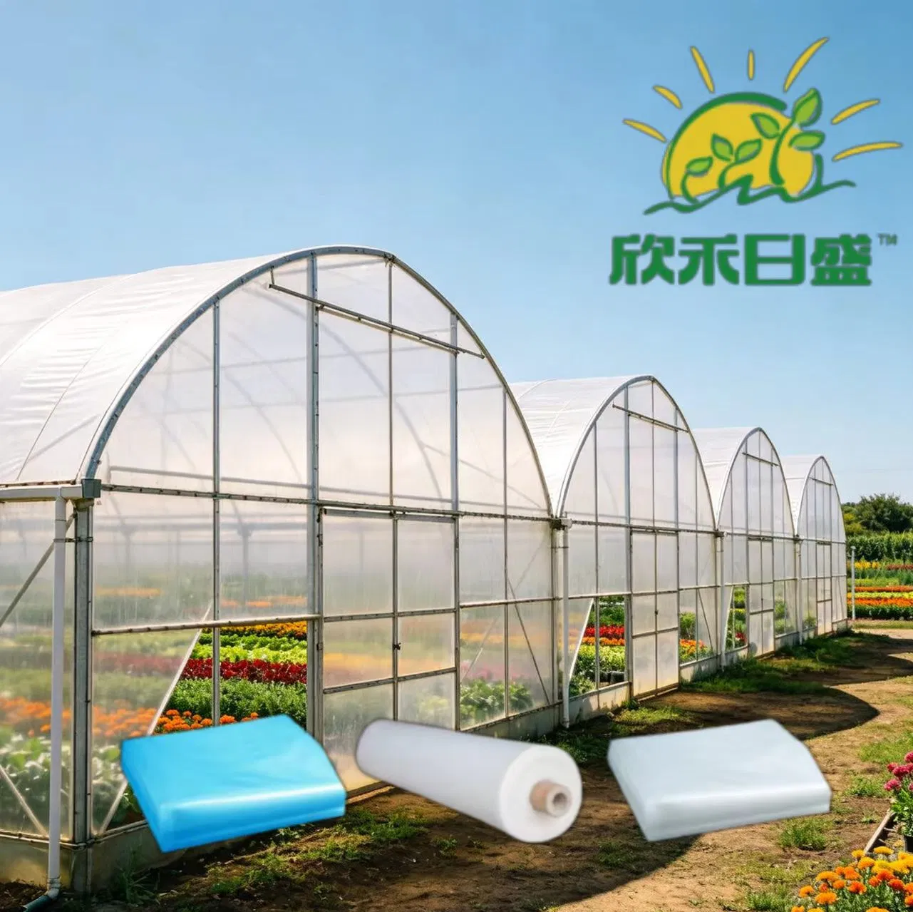 Film per serre Diffused Light Wonder di Rainbow Agriculture: luce uniforme, raccolti abbondanti