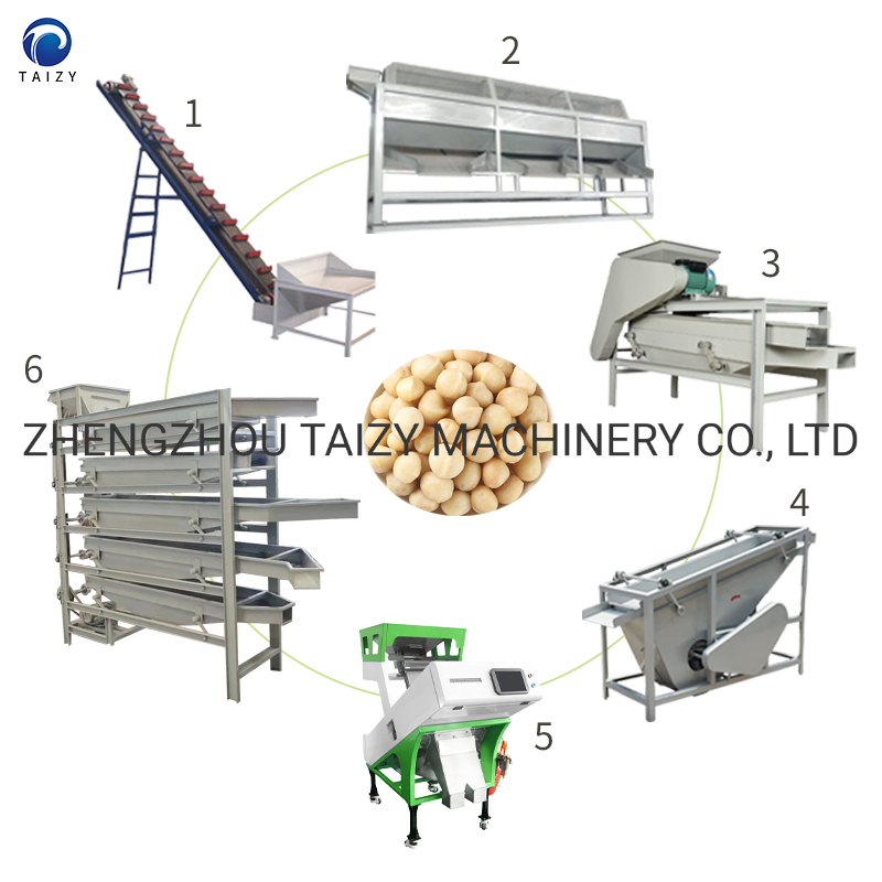 Automatic Walnut Shelling Machine Almond Cracker Macadamia Nuts Processing Machine