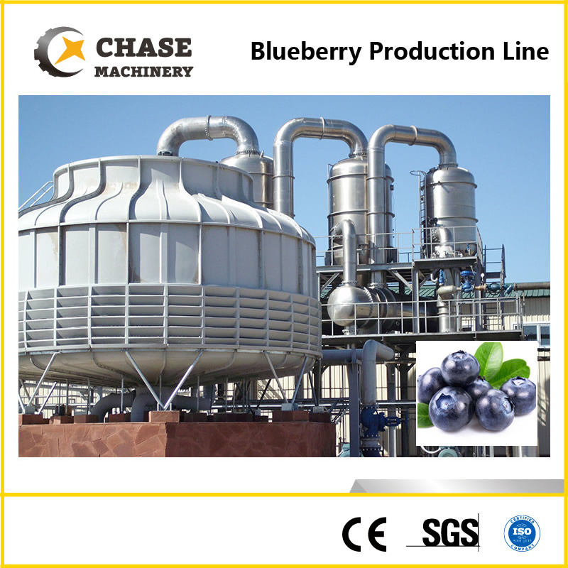Ligne de production complète et entièrement automatique de jus de raisin