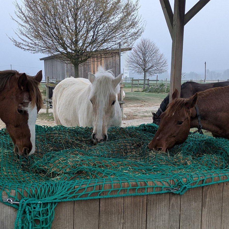 Portable Black/Green Horse Feeding Net with 4.5cm Mesh Holes, Polyester Hay Net for Slow Livestock Feeding