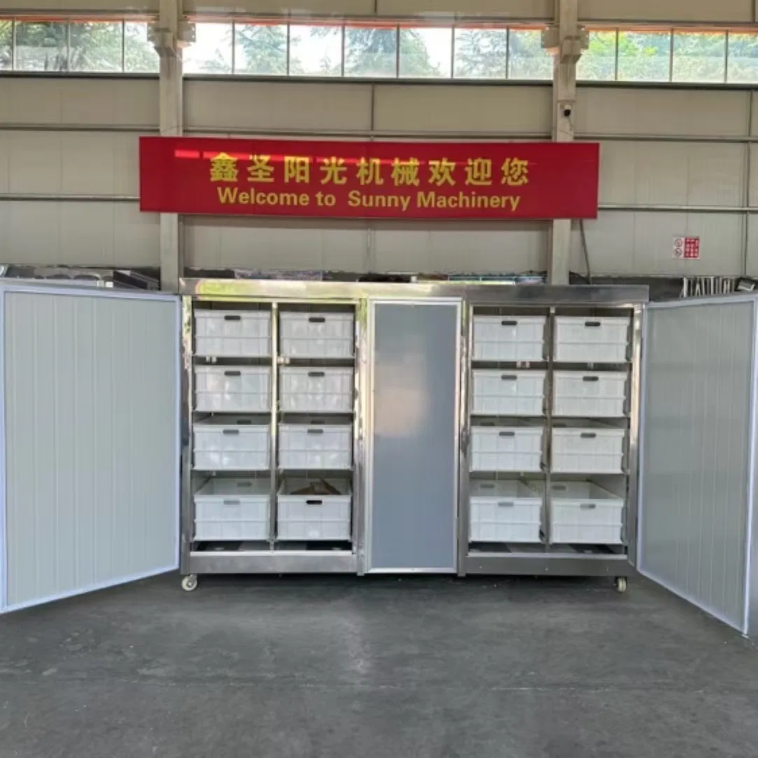 Fully Automatic Commercial Bean Sprout Machine 200kg/Day