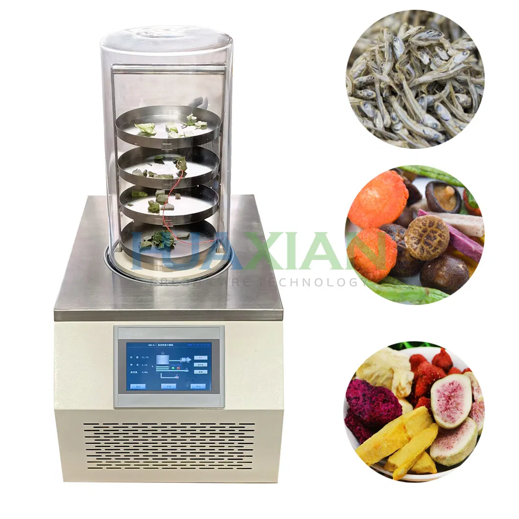 Small Home Usage Vegetable/Meat/Poultry Drying Food Vacuum Lyophilizer for Food Industry
