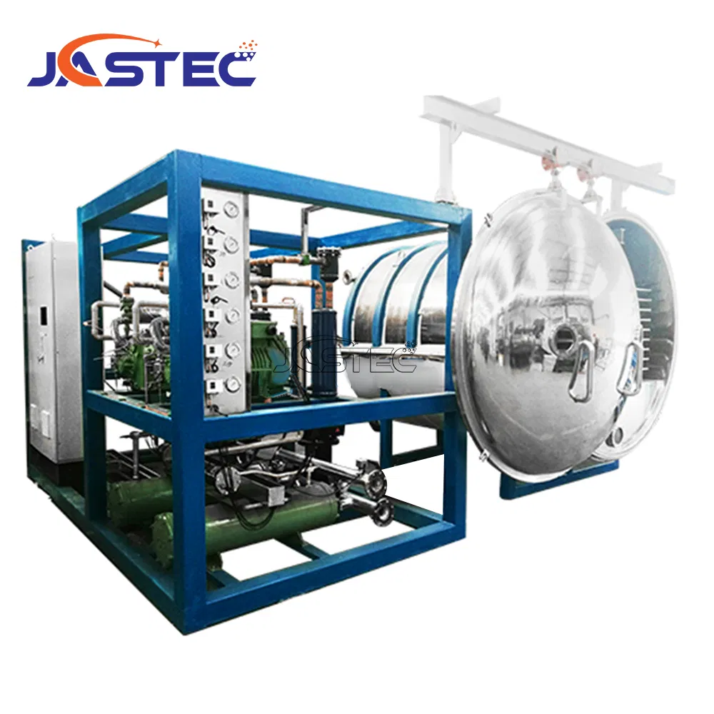 Vacuum Freeze Dryer Vegetable Machine Freeze Drying Vacuum Dryer Lyophilized