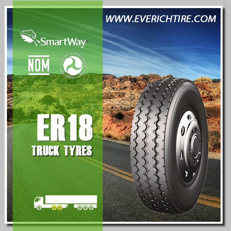 10.00r20 9.00r20 Truck Bus Radial Tyre Factory Taitong Brand Trailer TBR Tyre