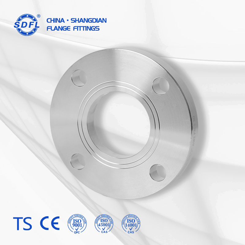 Pipe Fitting JIS B2220 10K 16K 20K 40K Ss Stainless Steel Forged Welding Plate/Blind/Slip on/Weld Neck Flange Wholesale